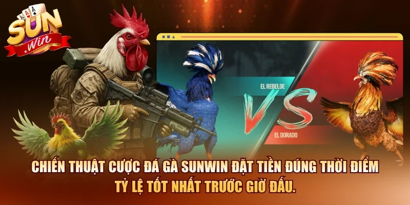 Chiến thuật cược đá gà SUNWIN đặt tiền đúng thời điểm tỷ lệ tốt nhất trước giờ đấu.